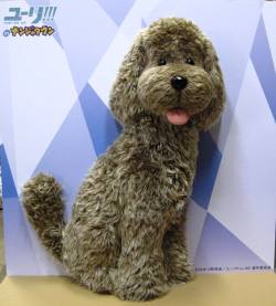 I AM SO JEALOUS. I WANT TO TAKE A PHOTO WITH MAKKACHIN! :((He’ll be at the YOI special event at Namco Namja Town in Ikebukuro starting tomorrow, December 23rd, 2016)