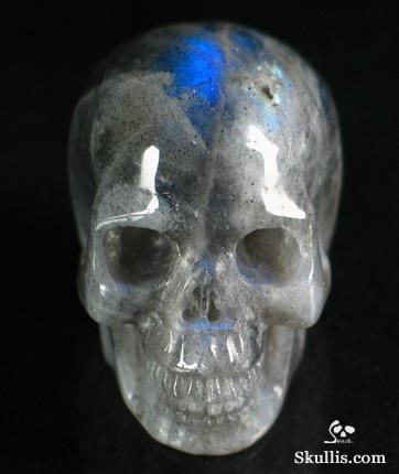 Porn Pics sixpenceee:  A compilation of carved skulls.