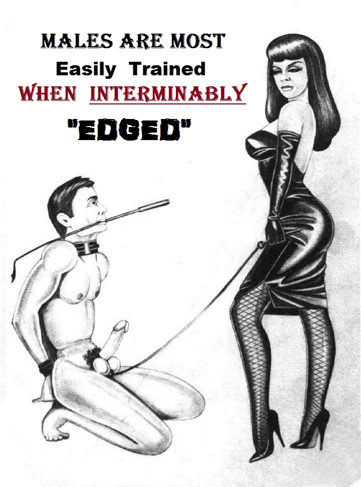 Femdom Done Right SexualFeminineSuperiority