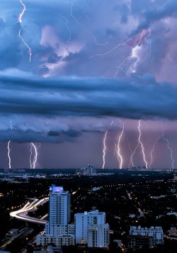 amargedom:  Lightning Storm, Miami, Florida photo via dawn 