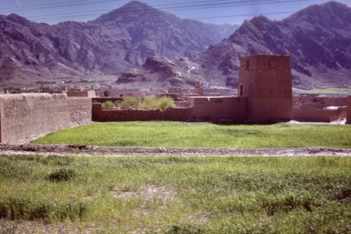 Roadside Scene near Jalalabad, Afghanistan, 1978.