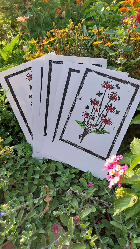 Picture of a several prints (image description: A hand-colored linocut of a crow skull with several red spider lilies growing out of and next to it. There are black butterflies flying around in the scene.) against garden vegetation. A few flowers are visible.