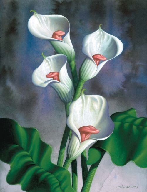 pixography:  Jim Tsinganos