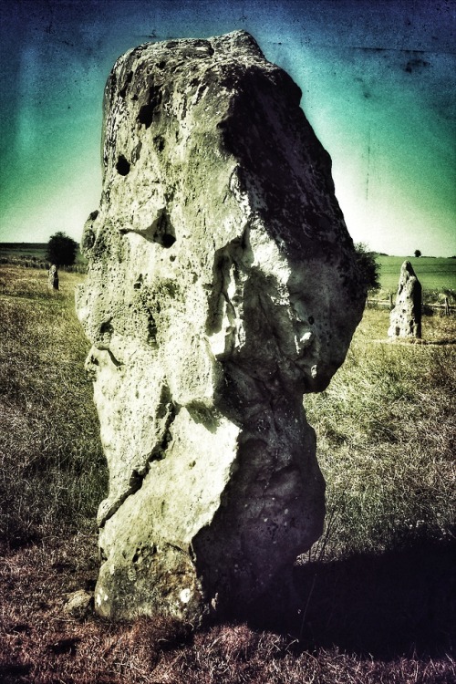 West Kennet Stone Avenue, nr Avebury, Wiltshire, 27.6.18.