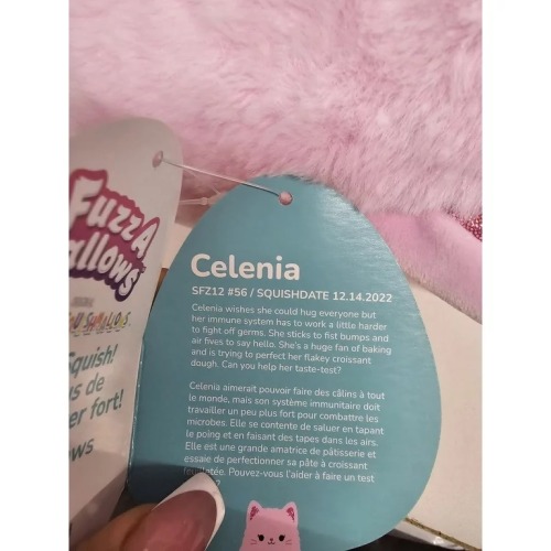 Disabled Squishmallows