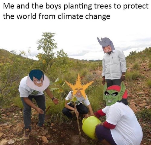 teamtrees