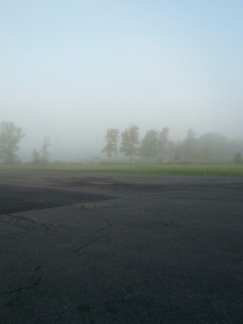 ghoste-punk:  it’s really foggy out today 