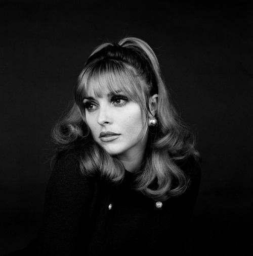 Sex adreciclarte:  Sharon Tate, 1966  pictures