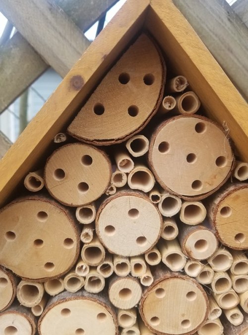 brazenbotany:Sustainability: Solitary Bee HouseA while ago, I made a post about solitary bee houses 