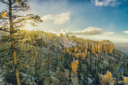 &ldquo;Bryce Antiqued&rdquo; Bryce Canyon National Park-jerrysEYES