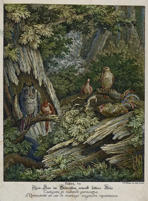 geritsel:Johann Elias Ridinger - Forest Birds animal life natural history book illustration, etching