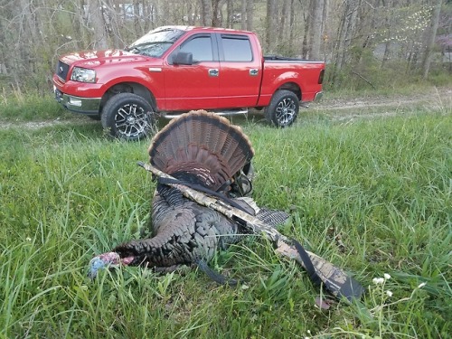 Can&rsquo;t beat walleye and turkey hunting in the spring. #fishing #hunting #lakelife