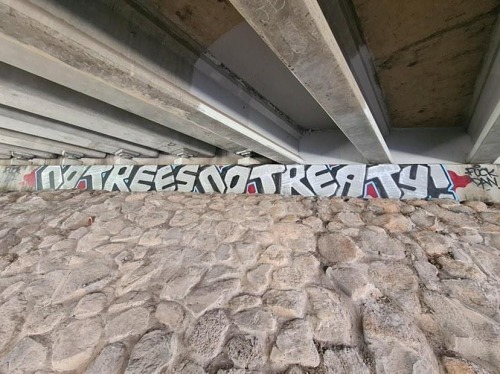 “No Trees, No Treaty!" Graffiti in Melbourne in solidarity with the indigenous Djab Wurru