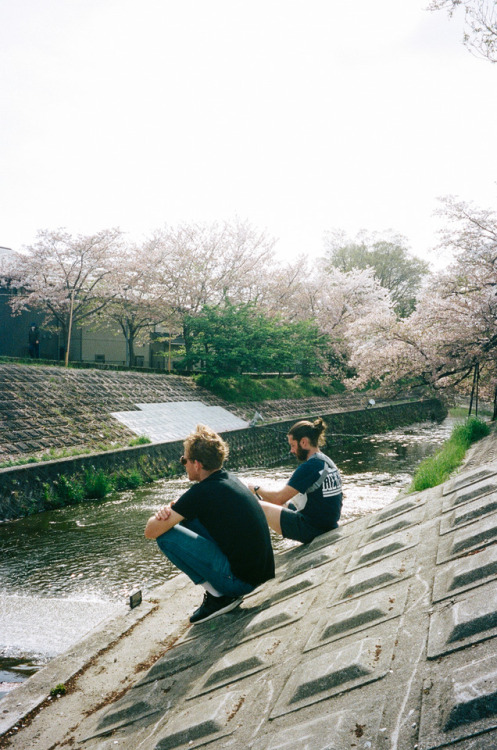 Nara,April 2017