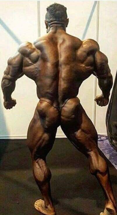Roelly Your Huge Enormous Powerful Muscles Make Me Weak