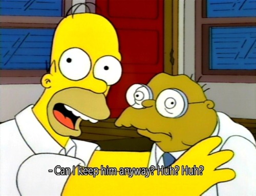 The Simpsons