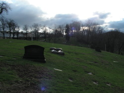 grrg63heavenonearth:  Allegheny Cemetery