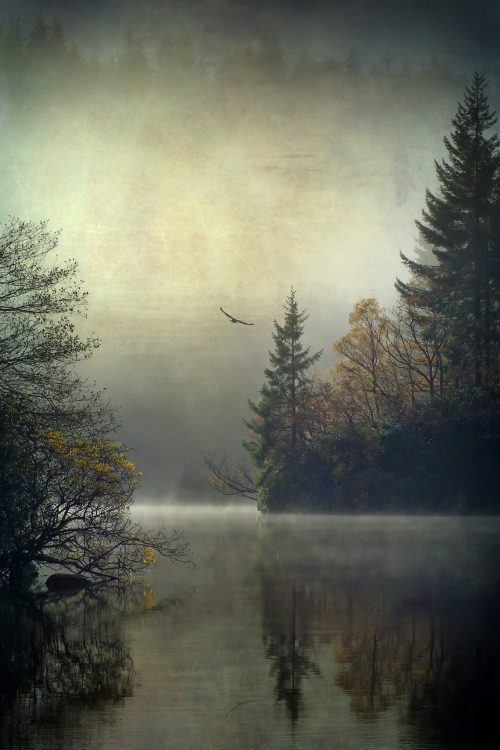 faeryhearts:  Loch Ard in Scotland, by David Mould.
