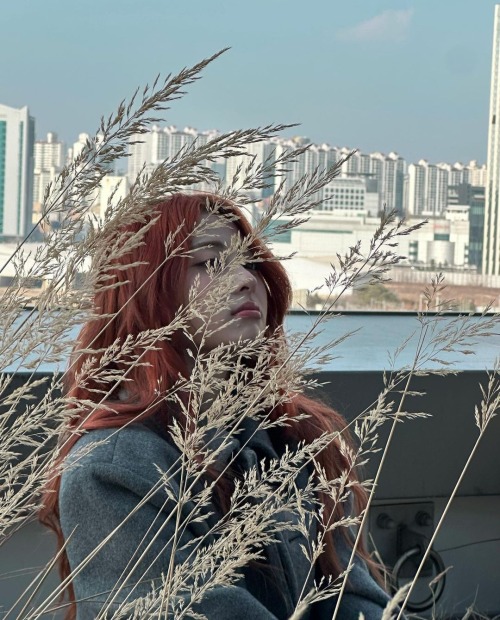 Yunjin | Ig Update