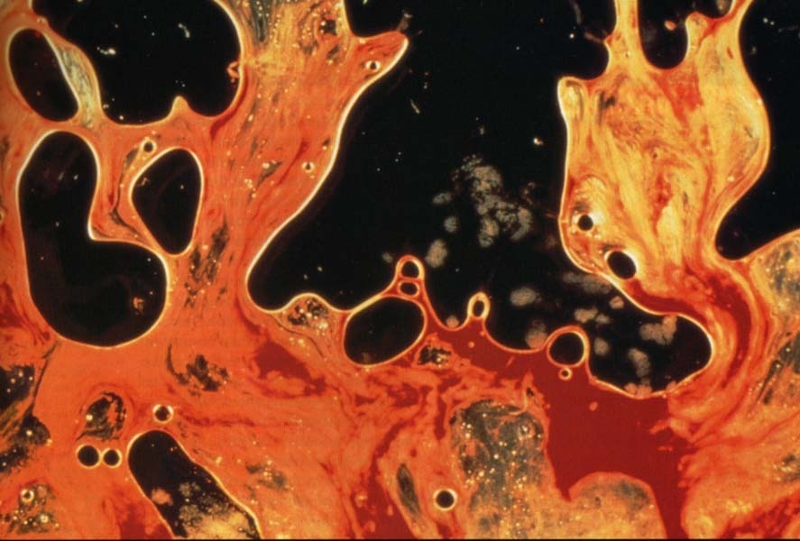 categorized art collection — Andres Serrano, “Blood and Semen II