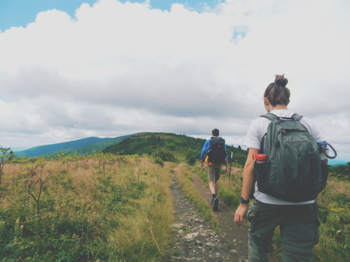 theevergreensoul: Roan Mountain, TN 29 July 2017