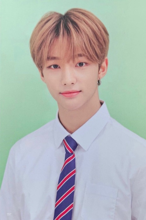 straykidsupdate: Hi-Stay Tour Finale Seoul Official Merch (©️ POINTNINE ᙏ̤̫)