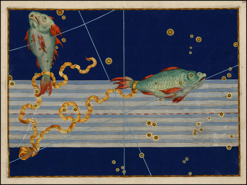 ganymedesrocks:Johann Bayer (1572-1625), The ‘Uranometria Omnium Asterismorum’ Astrologic Calendar A
