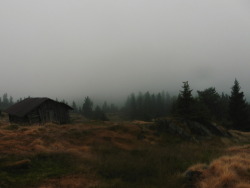 St-Pam:some Photos From During Our Hike To The Top Of A Mountain Seljord, Norway.