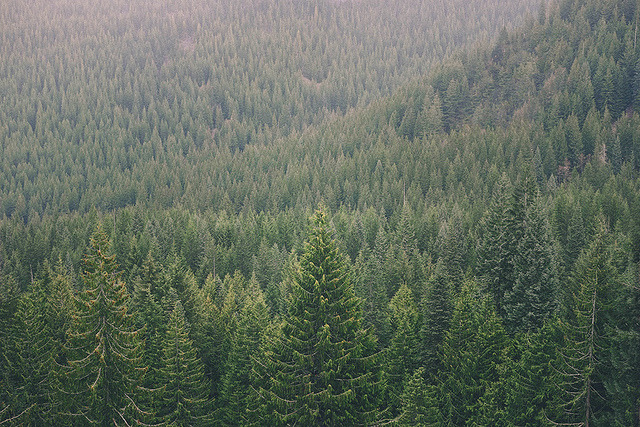 danielodowd:  untitled by Randy P. Martin on Flickr. 