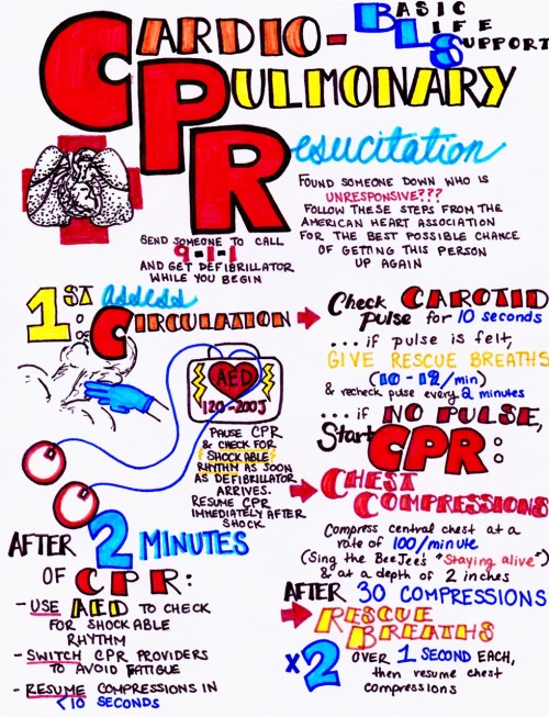 CPR basicsdownload all of my med school study guides here!