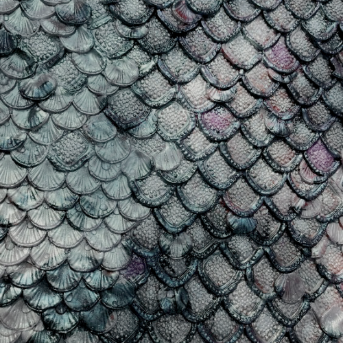 draculcs