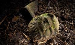 Archaeologists find two ‘lost cities’ deep in Honduras jungleArchaeological team say they have set foot in a place untouched by humans for at least 600 years in a site that may be the ‘lost city of the monkey god’.Read more