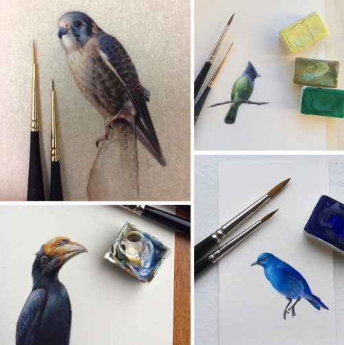 itscolossal:Bird by Bird: Miniature Bird Paintings by Dina Brodsky