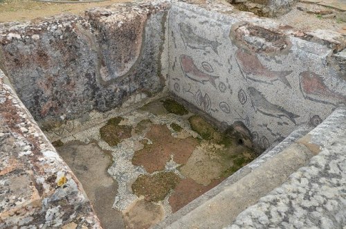 via-appia:Fish mosaics from the Roman ruins in Milreu, Portugal, 4th century