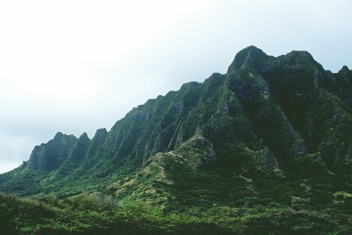 lucasschuber: Oahu, Hawaii 。