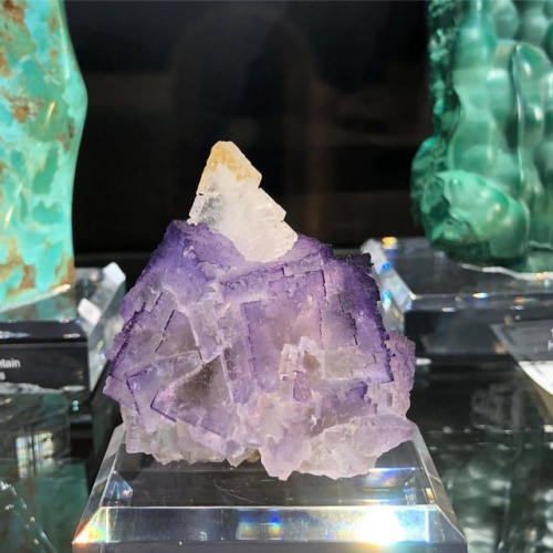 #Fluorite and #Celestine from Musquiz, #Mexico. #rocksrock #denvermineralshow #crystals #gems #finem