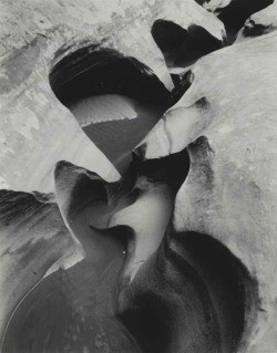pentauroi:  Edward Weston