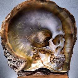 obsessedwithskulls:  Incredible skull shell (oil on mother of pearl) by Gregory Halili found via Stacey Ransom @hld4ransom 