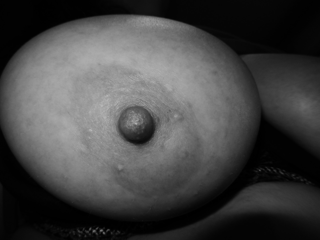 Love Those Curves!