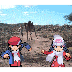 pokemontrainerbarry:  The exciting life of Dawn and Lucas~ Backgrounds       