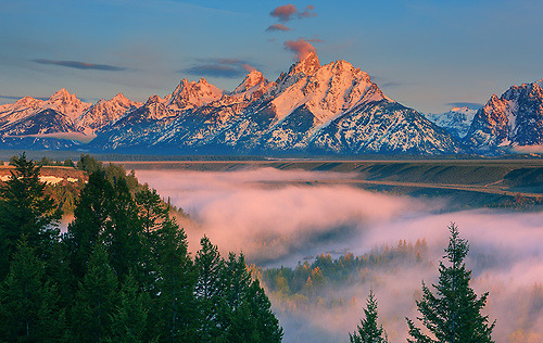 landscapelifescape:  Schwabacher Landing - Grand Teton N.P - Wyoming - USA (by ~