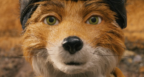 Fantastic Mr. Fox, 2009 (Dir. Wes Anderson)