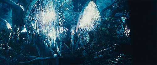 areddhels:  ❧ make me choose: toperditionandbackspeaks asked: “Lothlórien