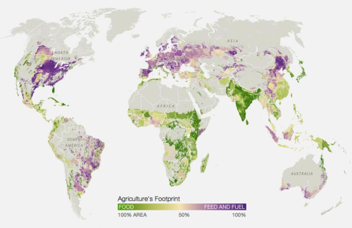 thelandofmaps:World’s Agriculture. Green is for Human Consumption, Purple is for Animal Feed a