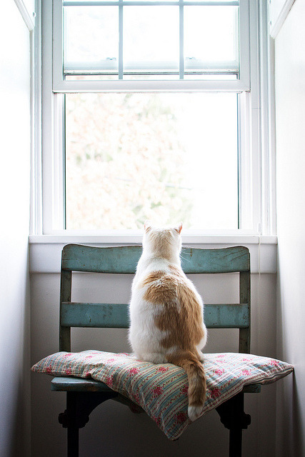 sweetnovember19:  ☆ follow for more like this ☆ 