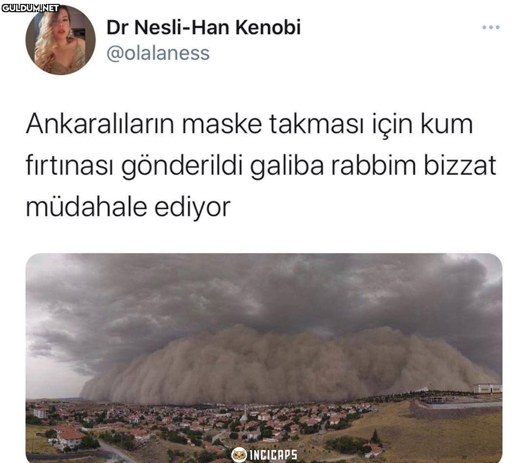 Dr Nesli-Han Kenobi ......