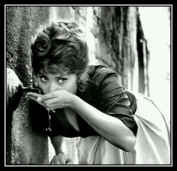 adhemarpo:Sophia Loren 