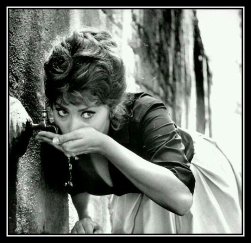 Porn Pics adhemarpo:Sophia Loren 