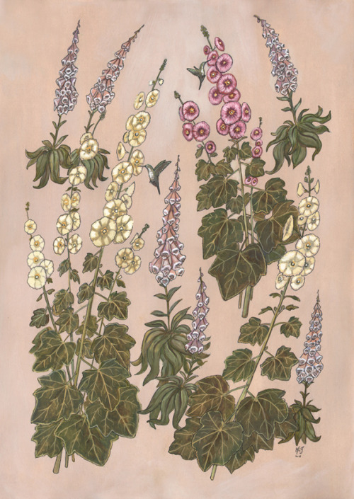 Hollyhocks and FoxglovesGouache on paper, 2015by Kelly Louise Judd