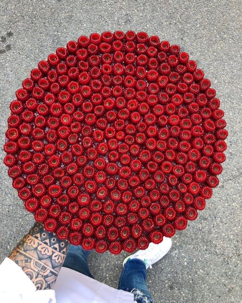 Isn’t this raspberry tart just pure perfection!?! Simply AMAZING! : @cedricgrolet